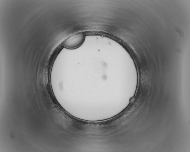 X0000111501069200908111241