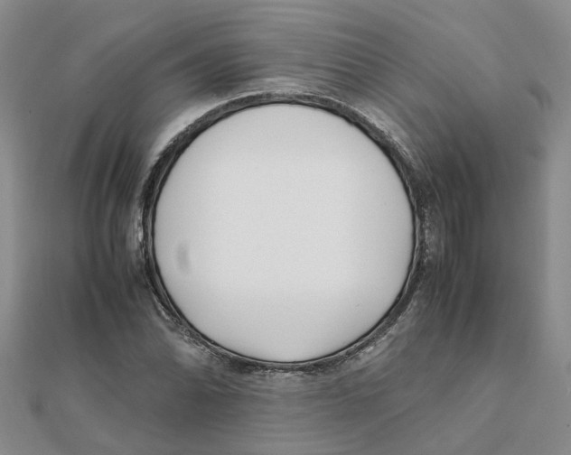 X0000111501070200908111241