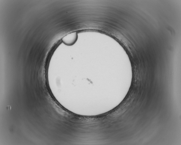 X0000111501072200908111241