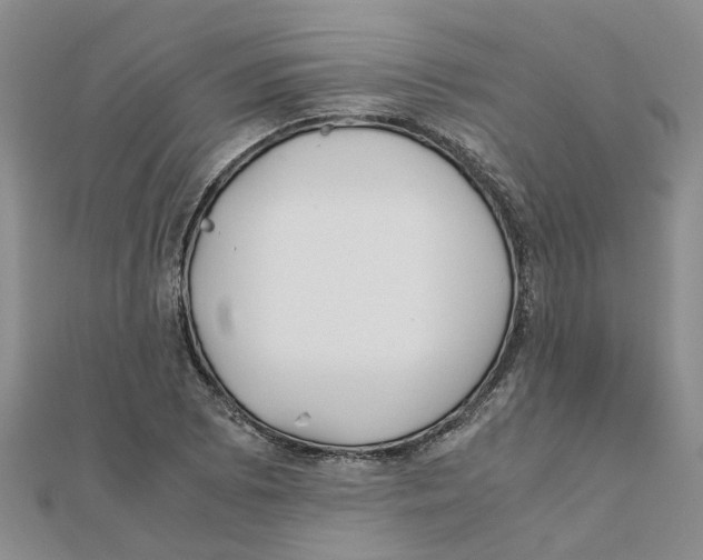 X0000111501073200908111241