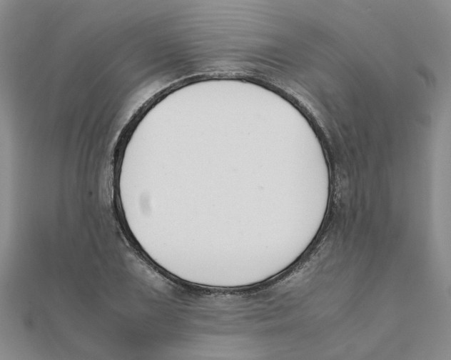 X0000111501075200908111241