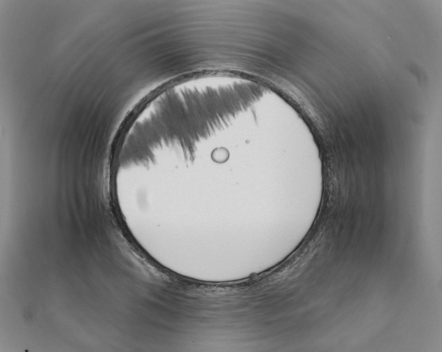 X0000111501076200908111241