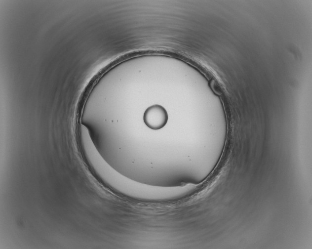 X0000111501077200908111241