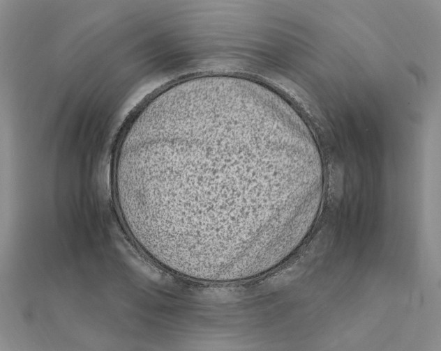 X0000111501078200908111241