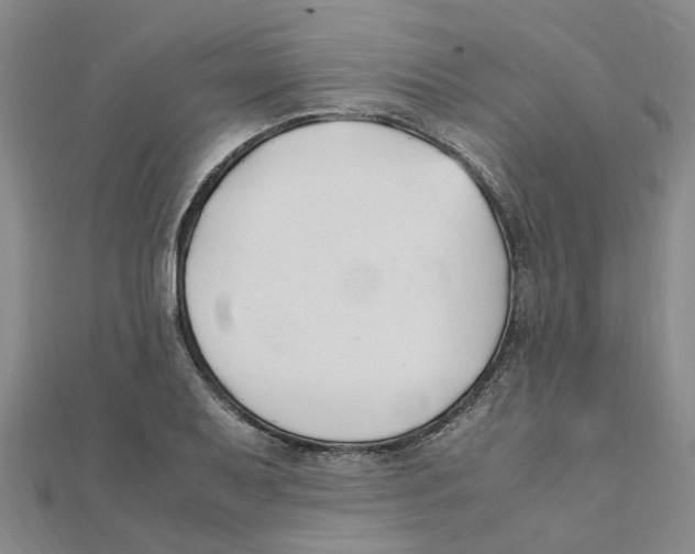 X0000111501079200908111241