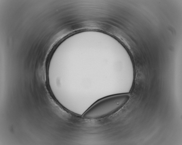 X0000111501080200908111241