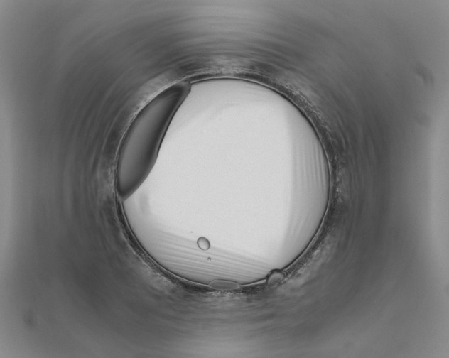 X0000111501081200908111241