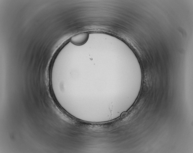 X0000111501082200908111241