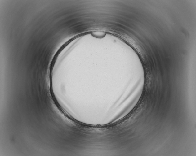 X0000111501084200908111241