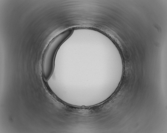 X0000111501085200908111241