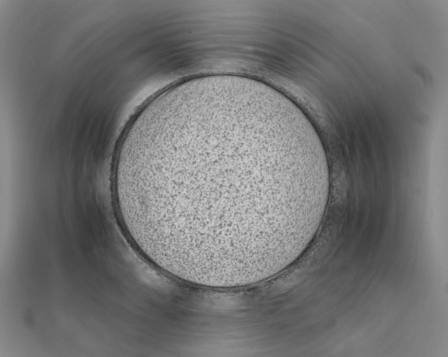 X0000111501086200908111241