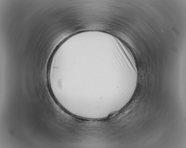 X0000111501087200908111241