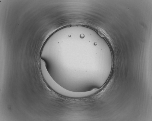 X0000111501089200908111241