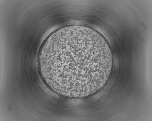 X0000111501090200908111241