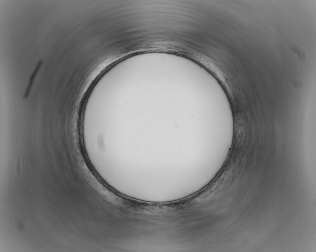 X0000111501091200908111241