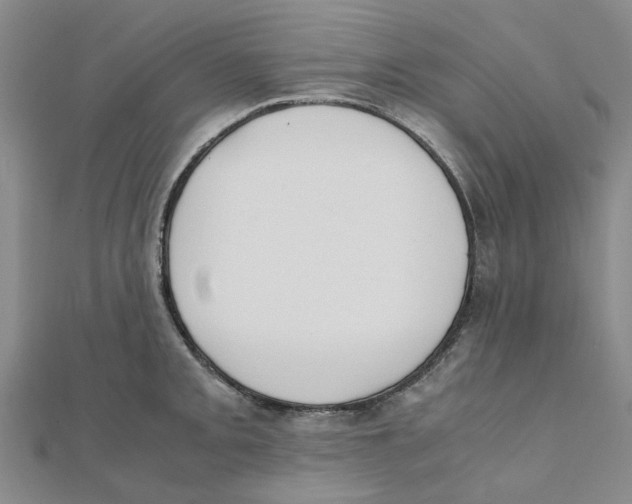 X0000111501093200908111241