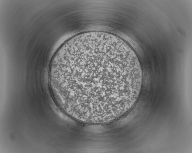 X0000111501094200908111241