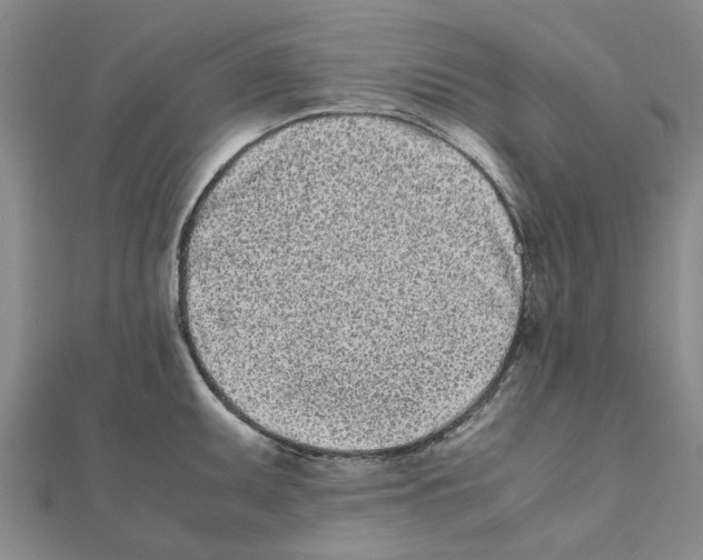 X0000111501095200908111241