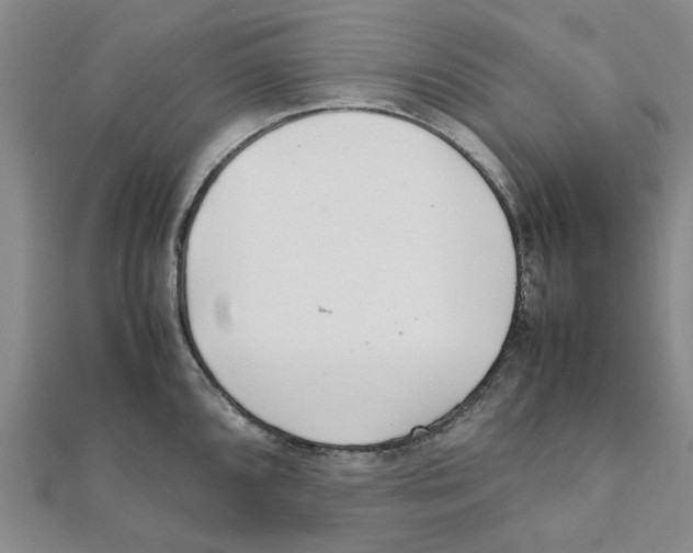 X0000111501096200908111241