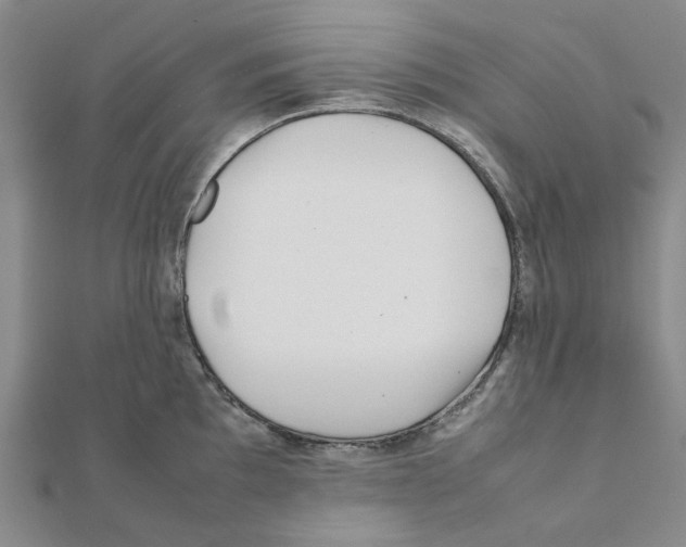 X0000111501097200908111241