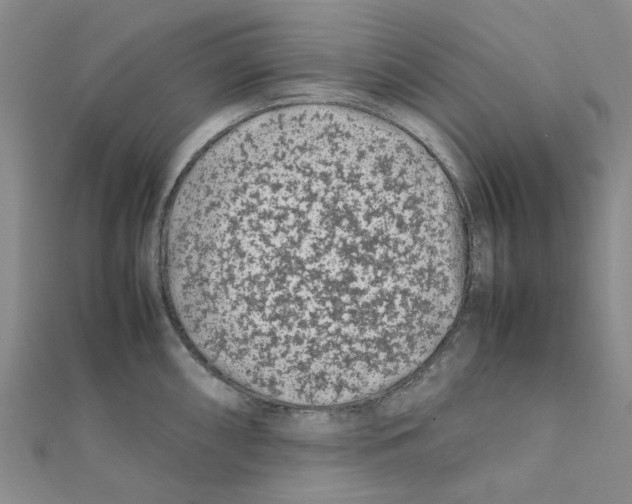 X0000111501098200908111241