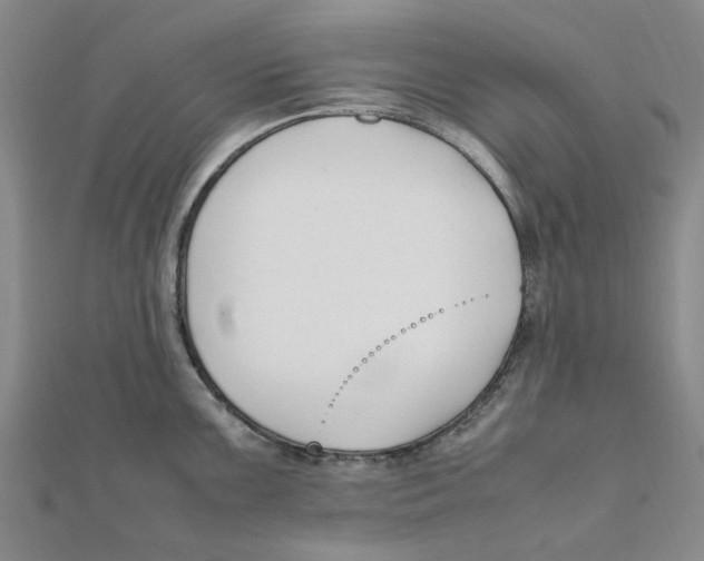 X0000111501099200908111241