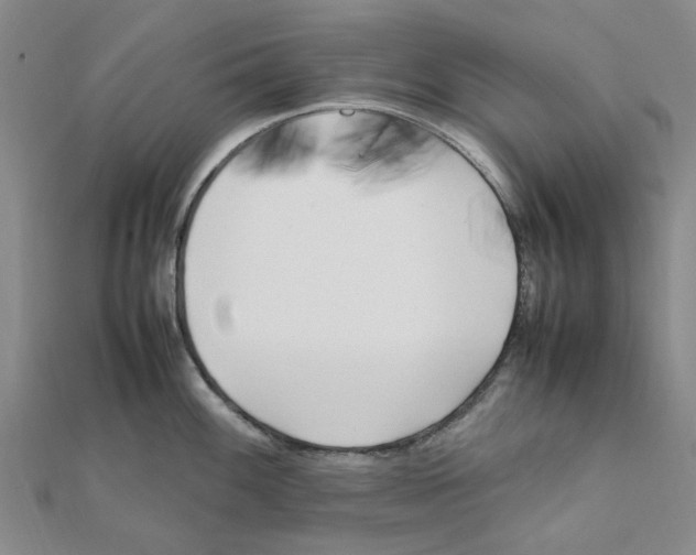 X0000111501100200908111241