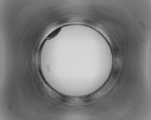 X0000111501101200908111241