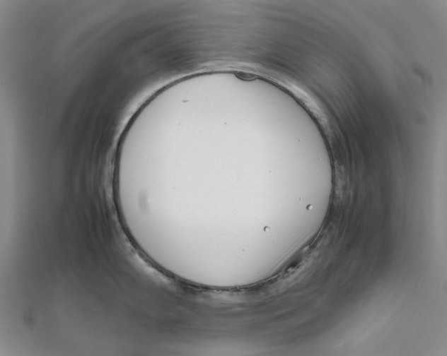 X0000111501102200908111241