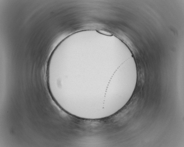 X0000111501103200908111241