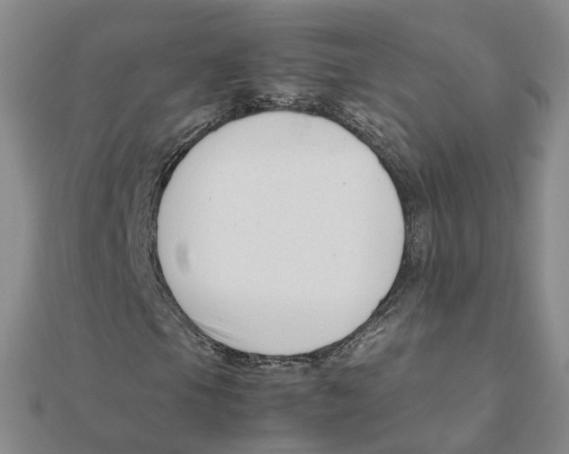 X0000111501105200908111240