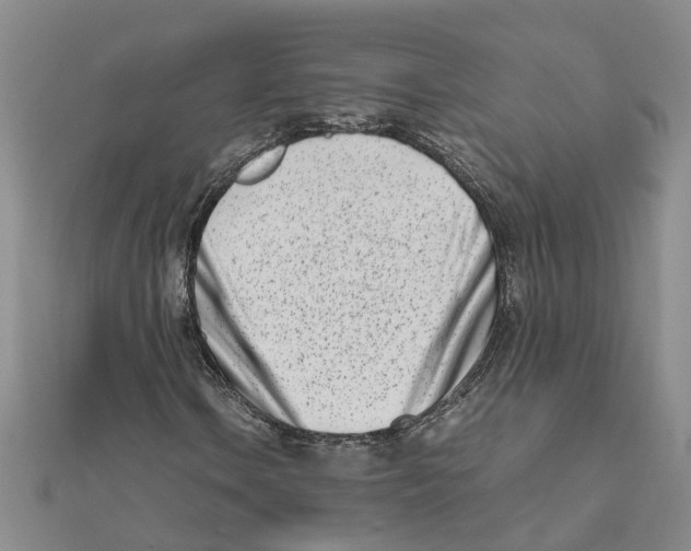 X0000111501106200908111240