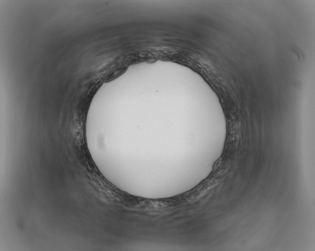 X0000111501109200908111240