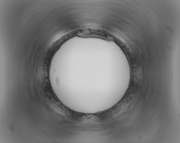 X0000111501112200908111240