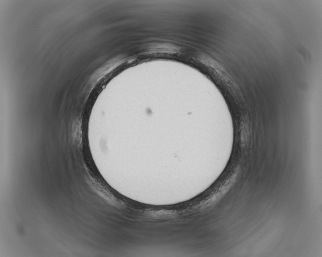 X0000111501113200908111240