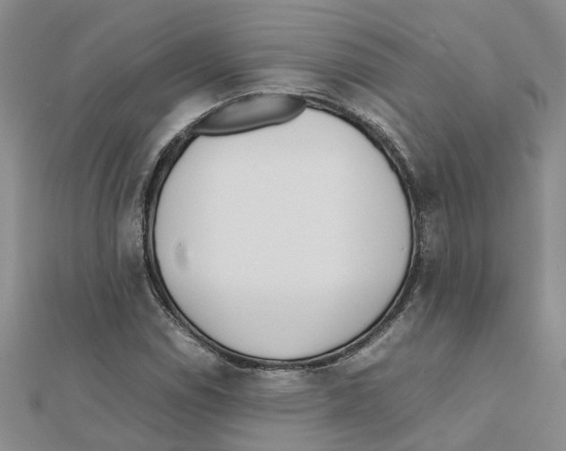 X0000111501114200908111240