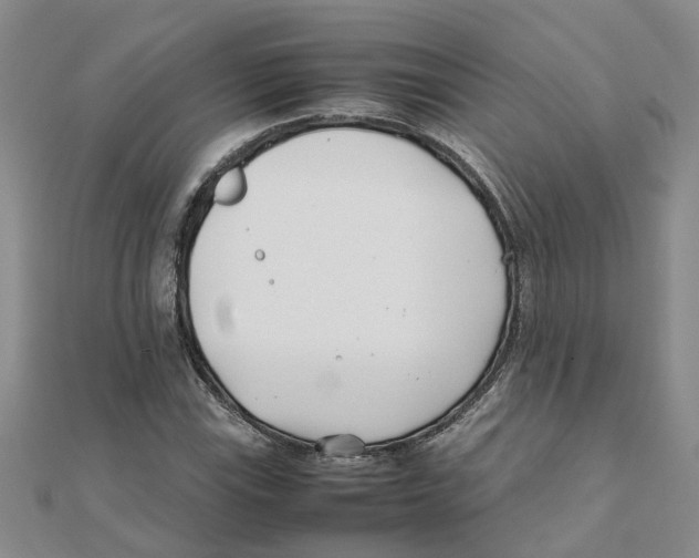 X0000111501115200908111240