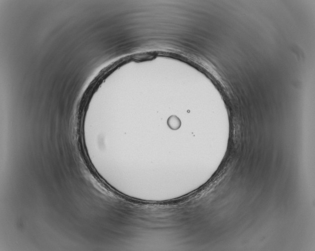 X0000111501116200908111240