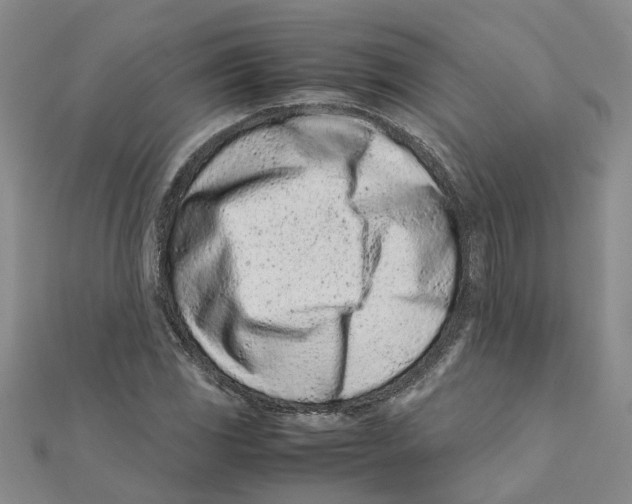 X0000111501117200908111240