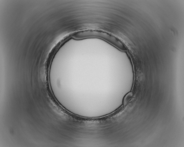 X0000111501118200908111240