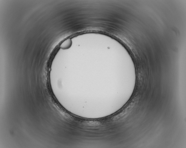 X0000111501119200908111240