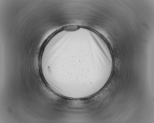 X0000111501120200908111240