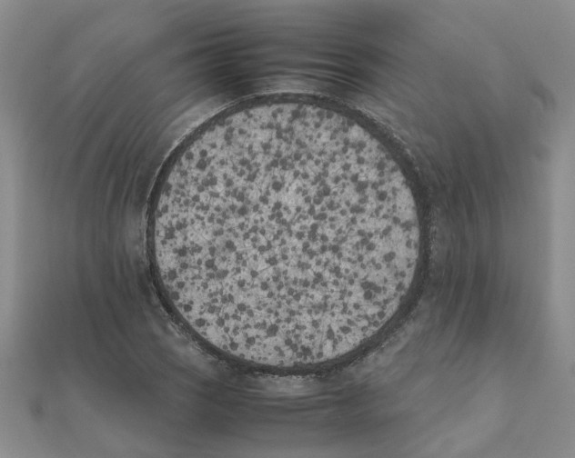 X0000111501121200908111240