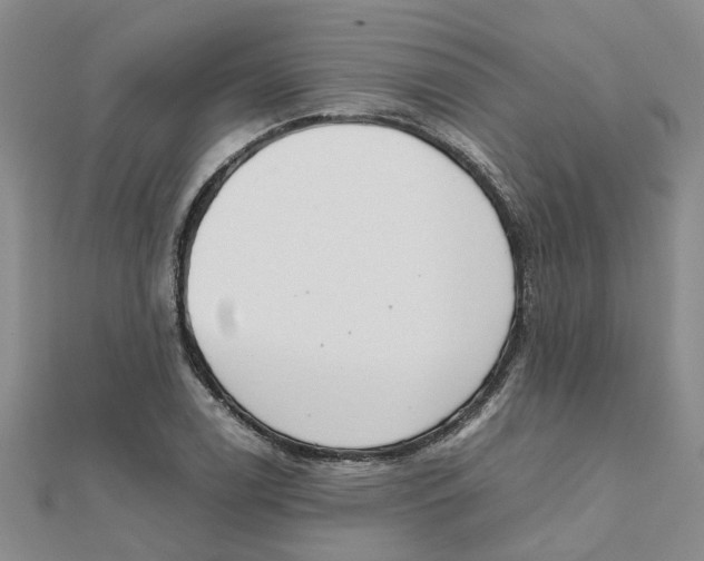 X0000111501122200908111240