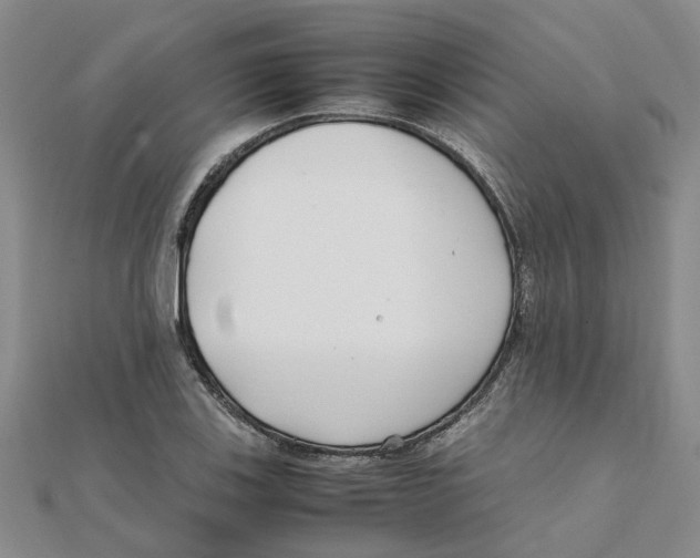 X0000111501123200908111240