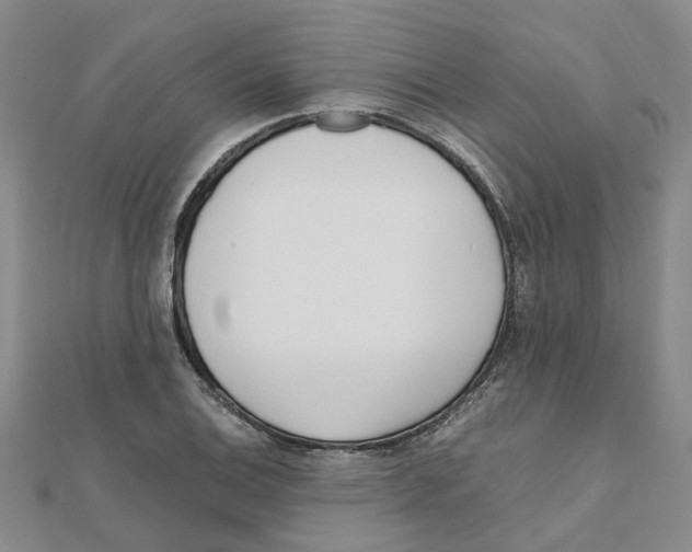 X0000111501124200908111240