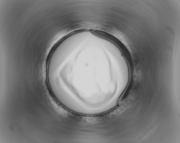 X0000111501128200908111240