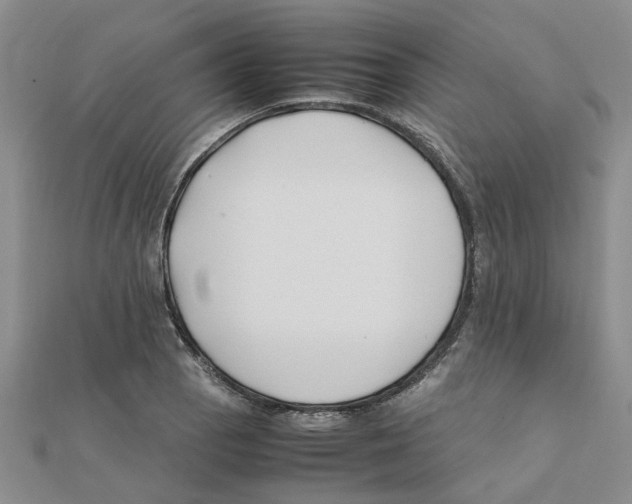 X0000111501129200908111240