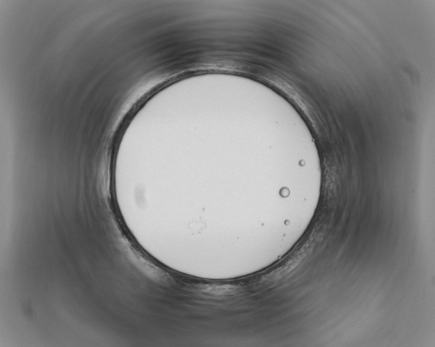 X0000111501131200908111240