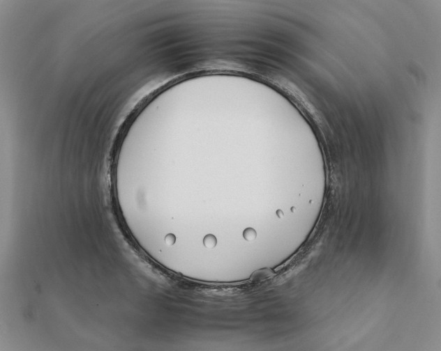 X0000111501133200908111240